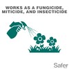 Safer Brand 5182-6 Neem Oil Concentrate Insecticide, Miticide, Fungicide for