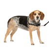 PetSafe Easy Walk No-Pull Dog Harness - The Ultimate Harness