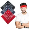 LZKHEH Set of 3 Bandanas for Men and Women, Nicki