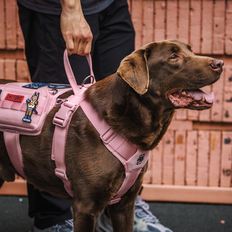 OneTigris Service Dog Vest Harness, Service Dog Cape Guardian Dog