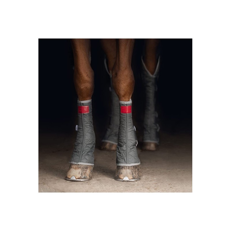 equilibrium Therapy Hind & Hock Magnetic Chaps