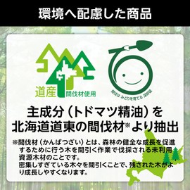 PIAA KK-TD2 Car Air Freshener, Forest Scent De Comfortable Space, Pack of 2 (Mint Scent)