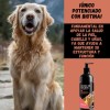 Aceite De Salmón Para Perros Mas Biotina 1 Lt -