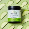 TERRA ORIGIN- Healthy Gut Green Apple 30 porciones con LGlutamina,
