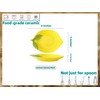 Ceramic Spoon Rest for Stove Top, Lemon Cute Spoon Rest
