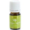 Lemon Myrtle Essential Oil 5ml