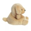 Aurora Set of 2 BRODY COLLIE & SUNNY LAB Palm