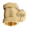 DN32 1-1/4 Inch Female Thread Brass Check Valve, 232PSI Disposable