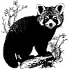 'Red Panda' Rubber Stamp - Unmounted Design for Crafting &