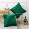 Soleebee Set of 2 Throw Pillow Covers Soft Cozy Velvet