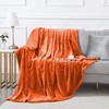 IR Imperial Rooms Fleece Blanket - Super Soft Fluffy Throw