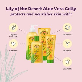 Pack of 2 x Lily of the Desert Aloe Vera Gelly Soothing Moisturizer - 8 oz