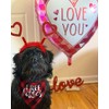 Disfraz de perro de San Valentín, diadema de corazón rojo
