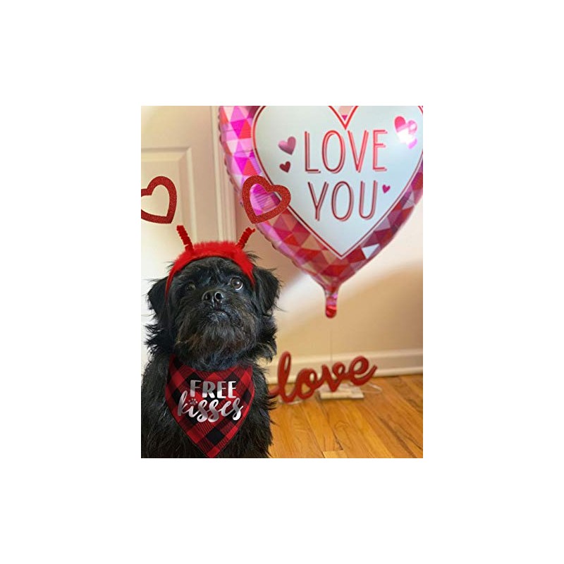 Disfraz de perro de San Valentín, diadema de corazón rojo