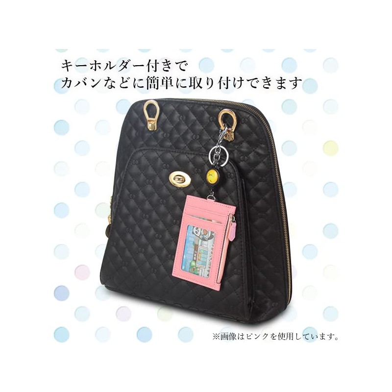 RemarksJapan Pass Case, Commuter Holder, IC Card Case, Card Case,