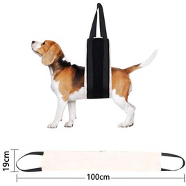 Cozioz Large Dog Rear Leg Sling for 14-54 kg Dogs – Support Harness for Elderly and Mobility-Impaired Dogs, Ideal for Arthritis and ACL Rehabilitation, 19 cm x 100 cm