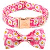 Tunkoo Pink Daisy Dog Collar with Cute Flower Bow Tie, Adjustable Premium Cotton Collar Durable Metal Buckle for Small Medium Large Boys Girls Dogs, L