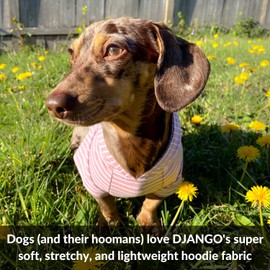 DJANGO Dog Hoodie and Super Soft and Stretchy Sweater with Elastic Waistband and Leash Portal (Small, Blush Pink)