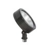 RAB Lighting Leslie Bullet Flood 13W LED