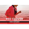 PURE ORIGINAL INGREDIENTS Red Clover (365 Capsules) No Magnesium Or