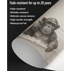 JJT Funny Bathroom Decor Chimpanzee in Bathtub Black and White