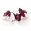 Endive, Red Treviso - Lettuce Seeds (Chicory) - Heirloom
