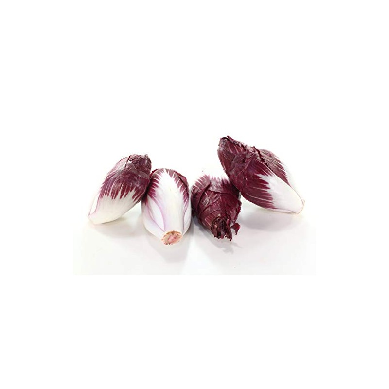 Endive, Red Treviso - Lettuce Seeds (Chicory) - Heirloom