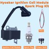 Hyceker Ignition Coil Module & Spark Plug Kit For Husqvarna