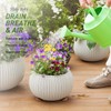 Yalikop 30 Pieces Invisible Plant Pot Feet Risers with Non