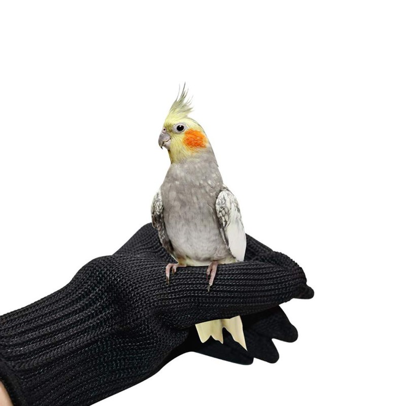 [Amybe] Pet Gloves, Cats, Dogs, Chewing Prevention, Protective Gloves, 1