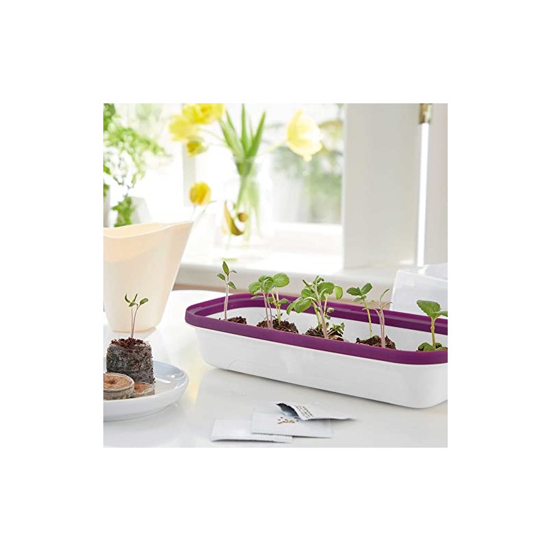 Romberg 16294174 BOQUBE Propagation Tray S, Cover with Ventilation Regulator,