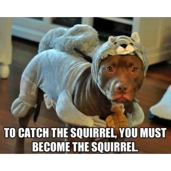 Funny Staffy dog refrigerator magnet 3 1/2 X 3 1/2