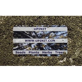 Fredsfish 10 grams Stinging Nettle Seeds (Urtica Dioica) From USA