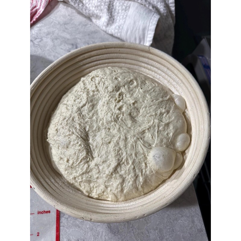 ZOURDOUGH SOURDOUGH The Apostle sourdough starter yeast New Release for