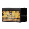 12V 12AH 144W Sealed Lead Acid (SLA) Battery - T2