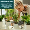 Blumat Classic Self-Watering Stakes - Automatic Drip Irrigation System for
