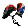 BUNFIREs Puerto Rico Rican Flag Mini Banner Boxing Gloves Rear View Mirror