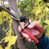 Barnel B317CS 7-3/4-Inch Ergonomic High Tech Collection Series Bypass Garden