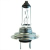 Halogen Bulb