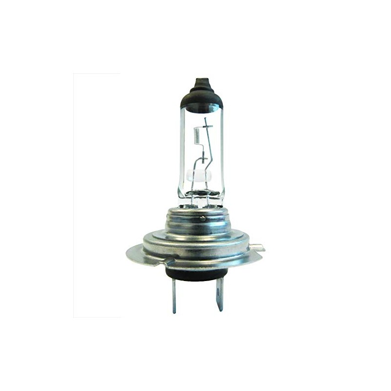 Halogen Bulb