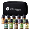 Laguna Moon Aromatherapy Essential Oils Travel Case Bag 10 Bottle