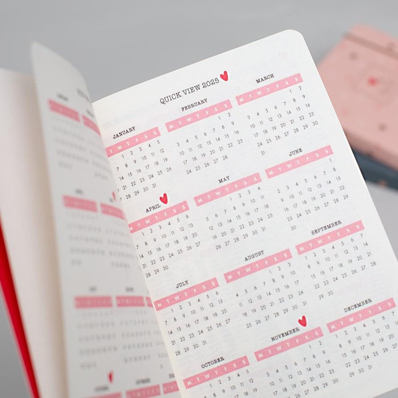 Matilda Moo 2024-2025 Academic Diary - A6 Size - Day