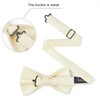 Enlision Bow Tie Men's Plain Pre-Tied Bow Tie and Pocket