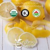 Organic Way Dried Lemon Peel Cut & Sifted (Citrus limon)