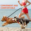Double Dog Lead No Tangle, No Tangle Split Lead for