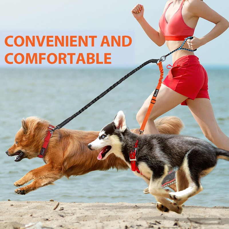 Double Dog Lead No Tangle, No Tangle Split Lead for