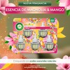 Airwick® Aromatizante de Ambiente Continuo, 5 repuestos, Esencia de Magnolia