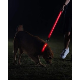 Illumiseen LED Dog Collar - USB Rechargeable - Available in 6 Colors & 6 Sizes - Makes Your Dog Visible, Safe & Seen