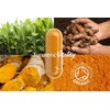 Organic Turmeric Curcumin Capsules 1420mg | High Strength with Black