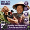 Dried Black Mulberries 8.8oz(250g),245-250 Per Jar,Natural Wild Black Mulberry,Top Grade